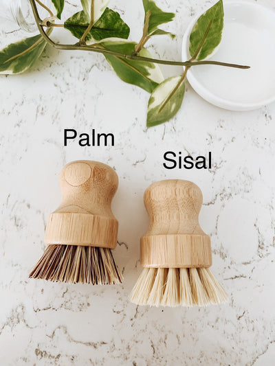 Sisal/Palm Bamboo Pot Brush